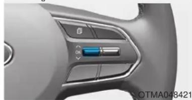 HYUNDAI Palisade (2020) - CAUTION - 2