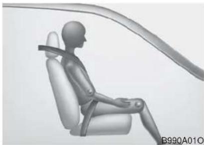 HYUNDAI Palisade (2020) - WARNING - 11