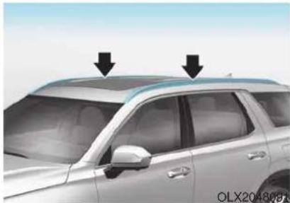 HYUNDAI Palisade (2020) - Roof Side Rails (if equipped) - 1