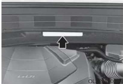 HYUNDAI Palisade (2020) - VEHICLE IDENTIFICATION NUMBER (VIN) - 1