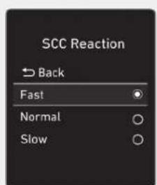 SCC Reaction Back Fast Normal Slow