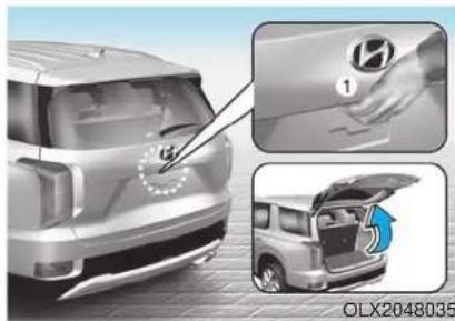 OLX2048035