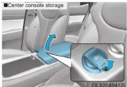 Center console storage OLX2049412L