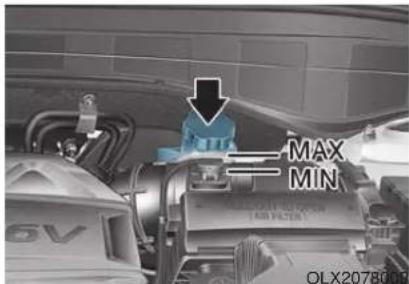MAX MIN OLX2078000