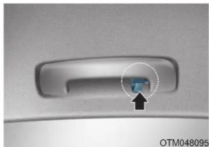 HYUNDAI Palisade (2020) - Coat Hook - 1