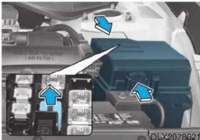 RUN TO OPEN (AI FILTER) 10 30 50 10 OLX2078021