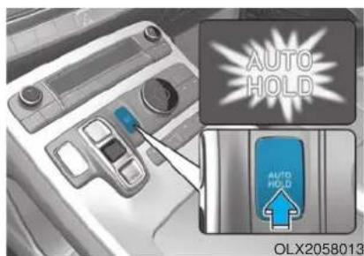 AUTO HOLD AUTO HOLD OLX2058013