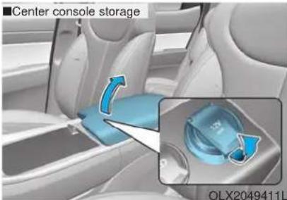 Center console storage OLX2049411L