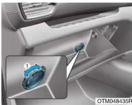 HYUNDAI Santa Fe (2020) - Cool box (if equipped) - 1