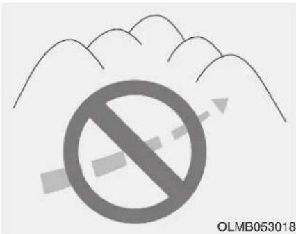 OLMB053018