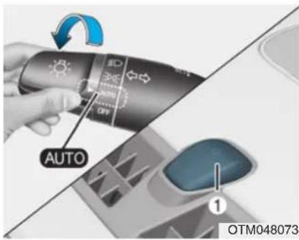 AUTO OTM048073