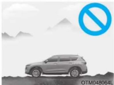 HYUNDAI Santa Fe (2020) - WARNING - 5
