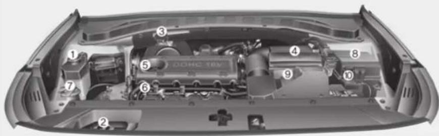 Technical diagram of a car engine bay with numbered components for identification