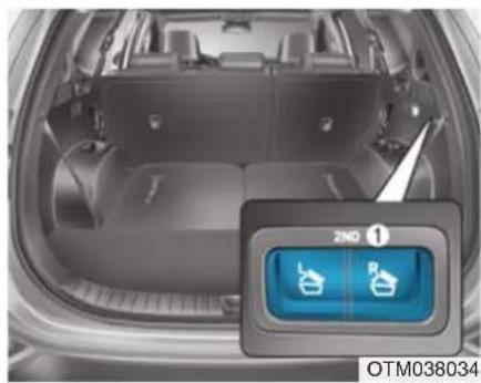 HYUNDAI Santa Fe (2020) - WARNING - 1