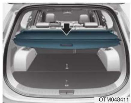 HYUNDAI Santa Fe (2020) - WARNING - 1