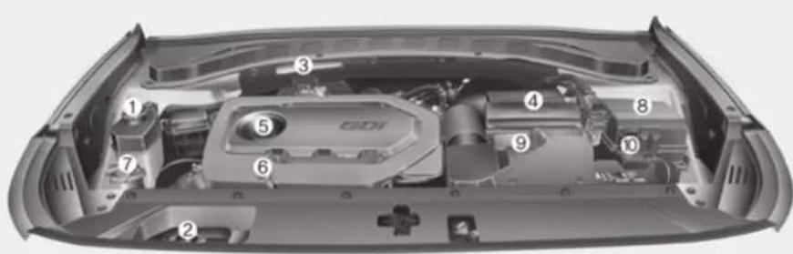 Technical diagram of a car engine bay with numbered components for identification