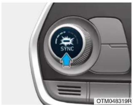 SYNC OTM048319R