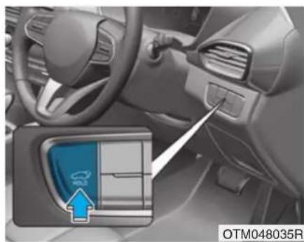 HYUNDAI Santa Fe (2020) - CAUTION - 2