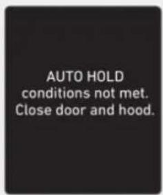AUTO HOLD conditions not met. Close door and hood.