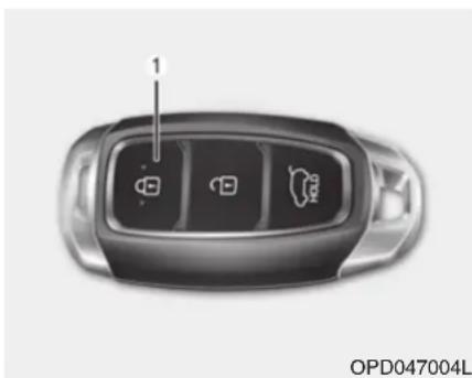 HYUNDAI Santa Fe (2020) - WARNING - 1