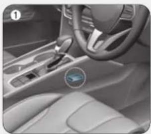 HYUNDAI Santa Fe (2020) - WARNING - 2