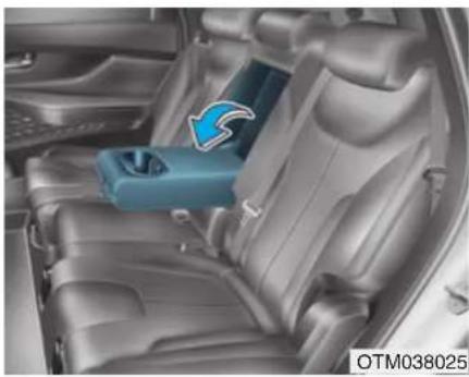 HYUNDAI Santa Fe (2020) - WARNING - 2
