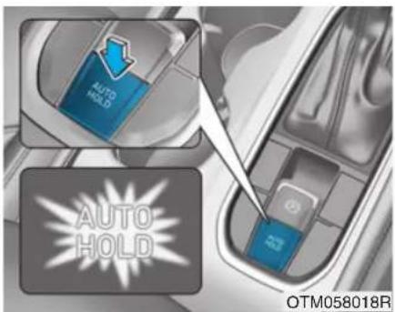 AUTO HOLD AUTO HOLD OTM058018R