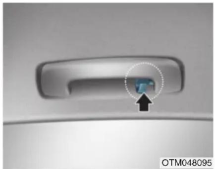HYUNDAI Santa Fe (2020) - Clothes hanger (if equipped) - 1