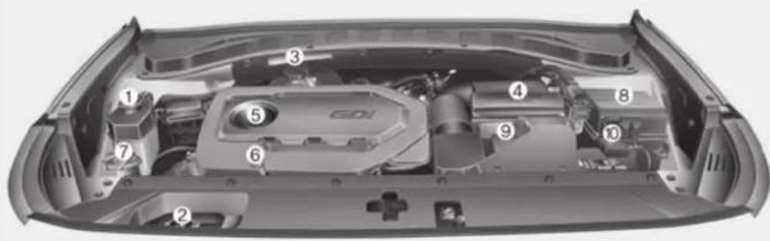 Technical diagram of a car engine bay with numbered components for identification
