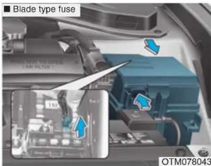 Blade type fuse OTM078043
