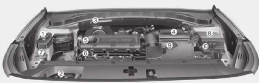 Technical diagram of a car engine bay with numbered components for identification
