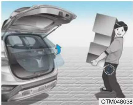 HYUNDAI Santa Fe (2020) - WARNING - 1