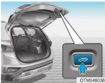 HYUNDAI Santa Fe (2020) - CAUTION - 5