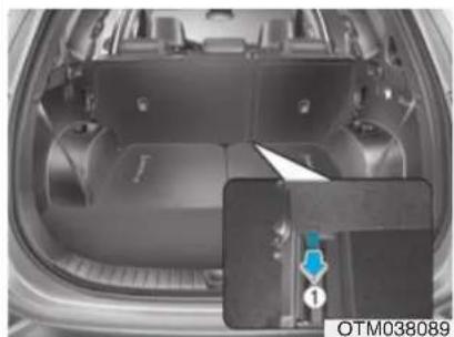 HYUNDAI Santa Fe (2020) - WARNING - 1