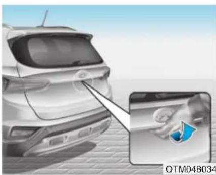 HYUNDAI Santa Fe (2020) - CAUTION - 3