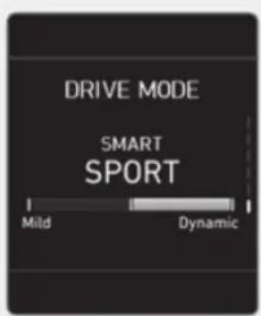 DRIVE MODE SMART SPORT Mild Dynamic