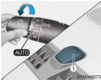 AUTO OTM048073