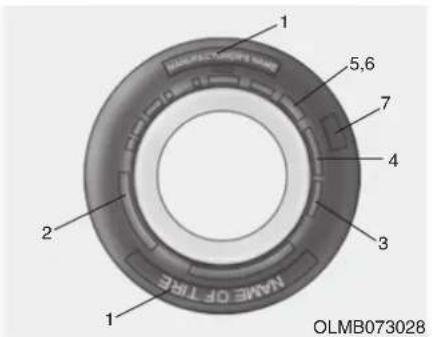 1 2 3 4 5,6 7 NAME OF TYPE OLMB073028