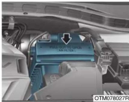 AIR FILTER OTM078027R