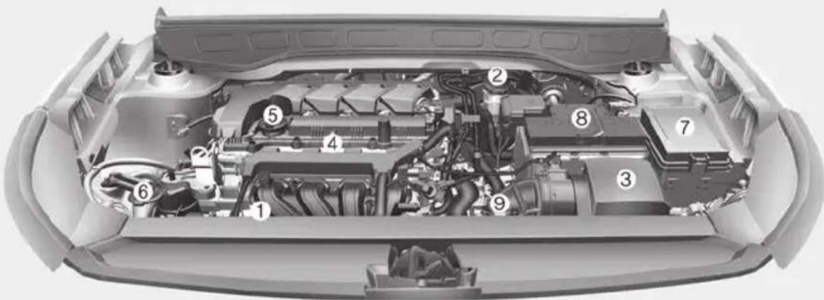 Technical diagram of a car engine bay with numbered components for identification