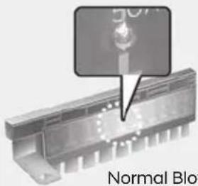 Normal Blo