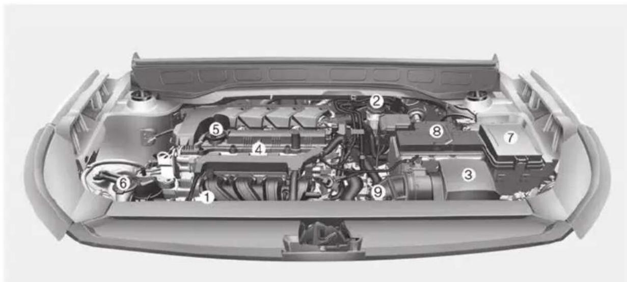 Technical diagram of a car engine bay with numbered components for identification