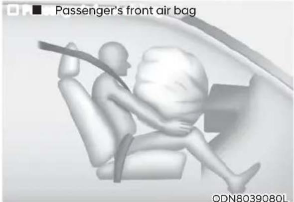 Passenger's front air bag ODN8039080L