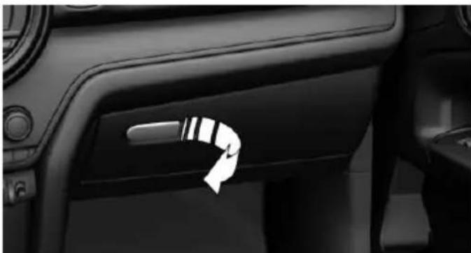 MINI Countryman (2020) - Opening - 1