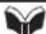 MITSUBISHI L200 (2015) - Driving on snowy or icy roads - 1