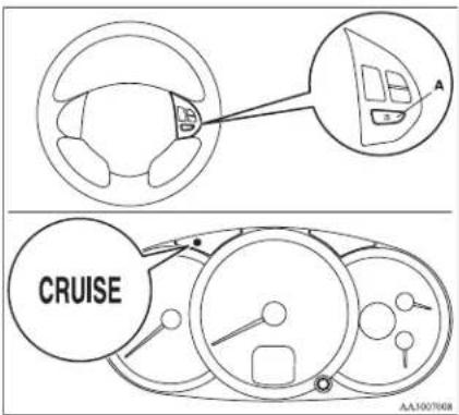 CRUISE AA3007008