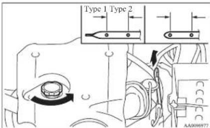 Type 1 Type 2 AA009977