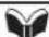 MITSUBISHI Mirage (2019) - 3-point type seat belt (with emergency locking mechanism) - 1