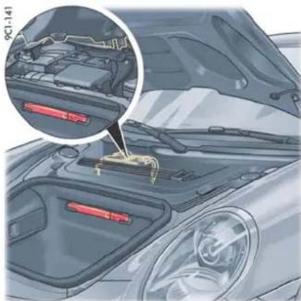 PORSCHE 911 Carrera (2012) - 信息 - 2