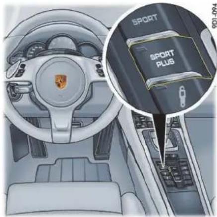 SPORT SPORT PLUS